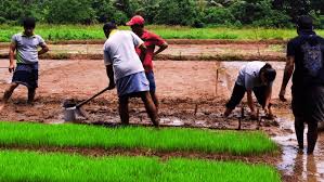 වන්දි ඕනේ නම් 10 වැනි දාට පෙර දැනුම් දෙන්න