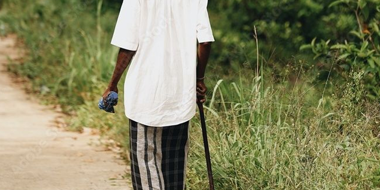 දරුවන් විසින් නොසලකා හරින වැඩිහිටියන් ගැන කියන්න අංකයක් දරුවන් විසින් නොසලකා හරින වැඩිහිටියන් ගැන කියන්න අංකයක්