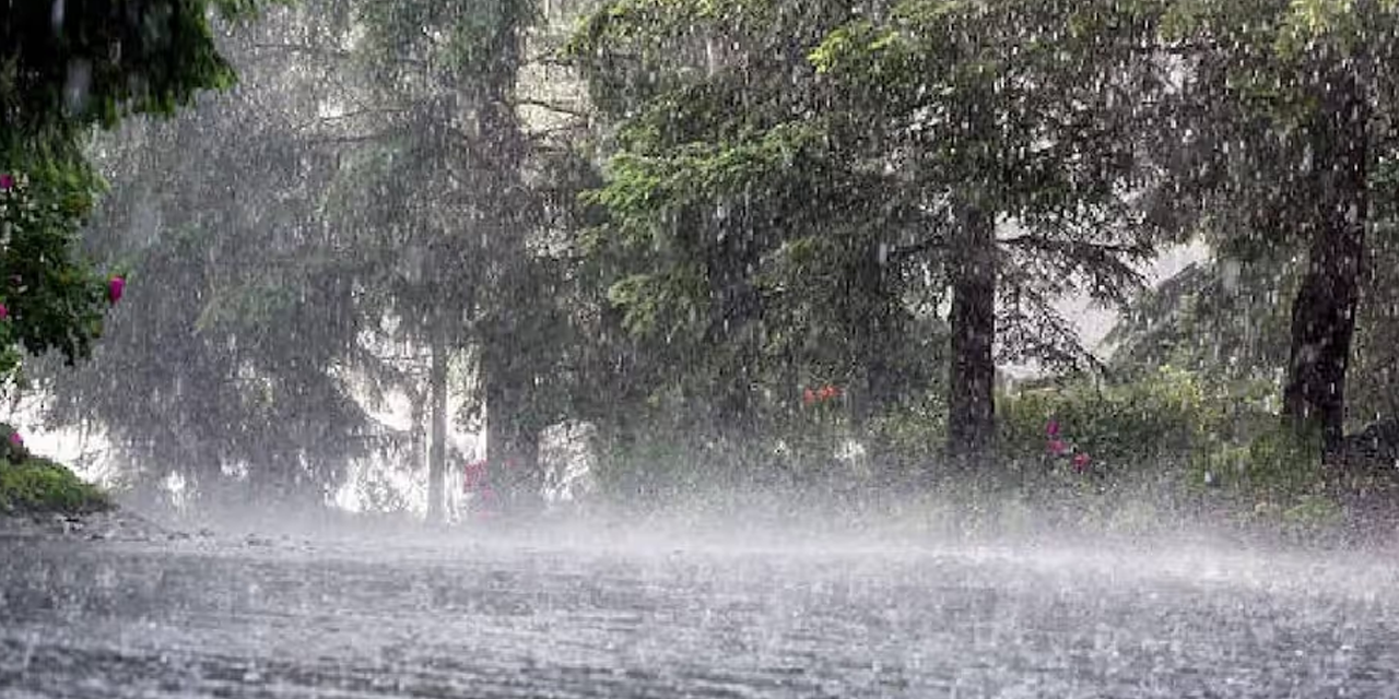 දිස්ත්රික්ක කිහිපයකට තද වැසි දිස්ත්රික්ක කිහිපයකට තද වැසි