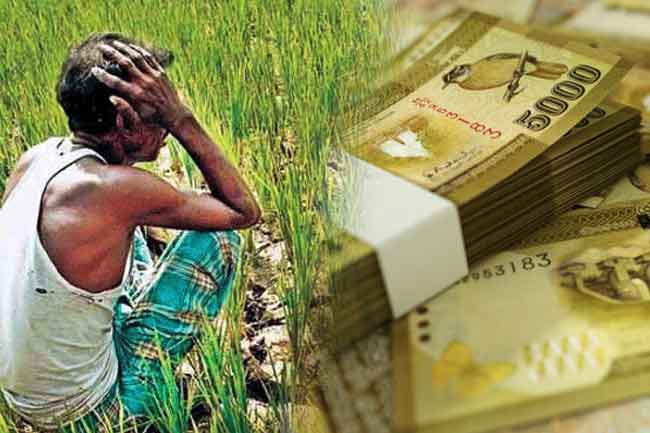 වගා හානි වූ ගොවීන්ට වන්දි ගෙවයි වගා හානි වූ ගොවීන්ට වන්දි ගෙවයි