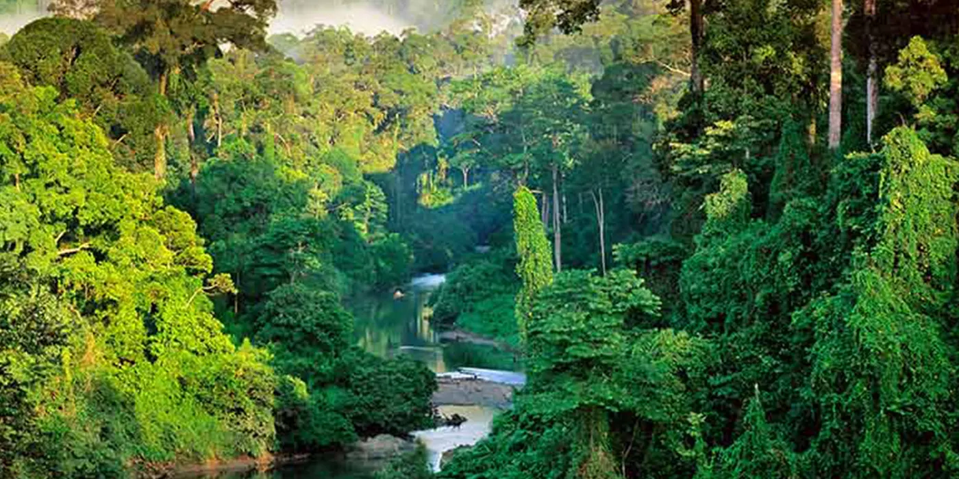 මාලිමා මැතිඇමැති අනුහසින් සිංහරාජය හා නකල්ස් වනසයි මාලිමා මැතිඇමැති අනුහසින් සිංහරාජය හා නකල්ස් වනසයි