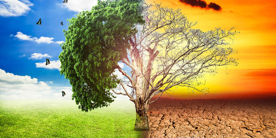 දේශගුණික විපර්යාස පනතකට කඩිනම් අවධානය