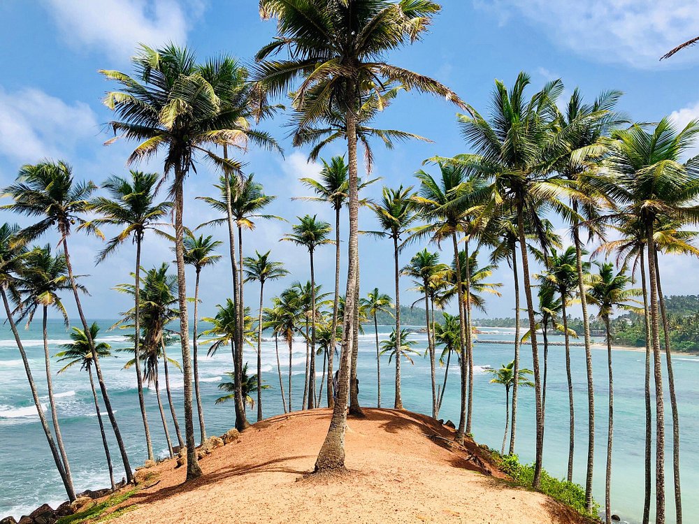 උතුරේ පොල් ත්‍රිකෝණය දියත් කිරීමේ සමාරම්භක අවස්ථාව ජනපති ප්‍රධානත්වයෙන්