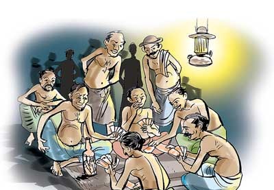 මිල්ලනියේ මහා පරිමාණ බූරු පිටියට පොලිසිය පනී