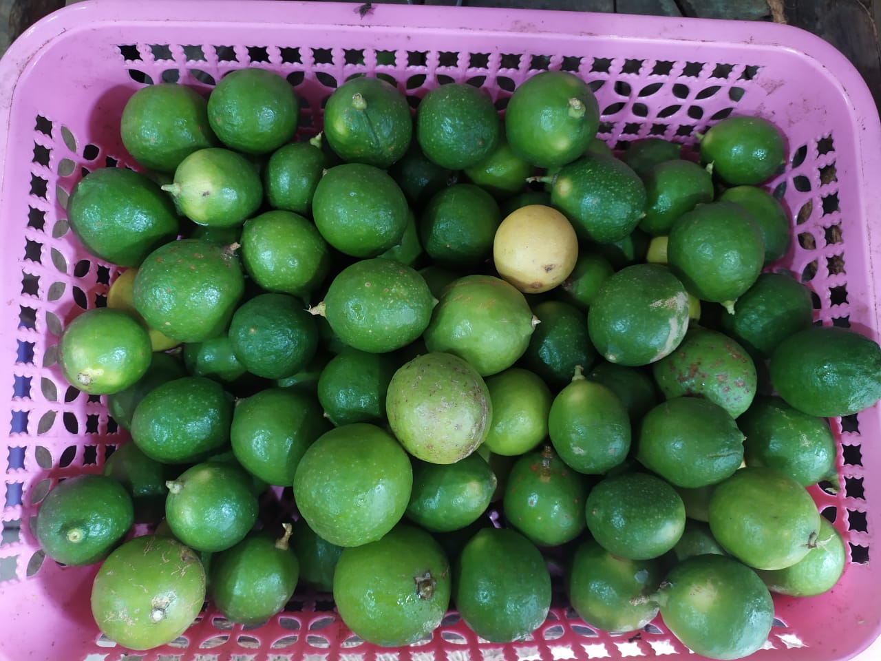 දෙහි මිල ඉහළට