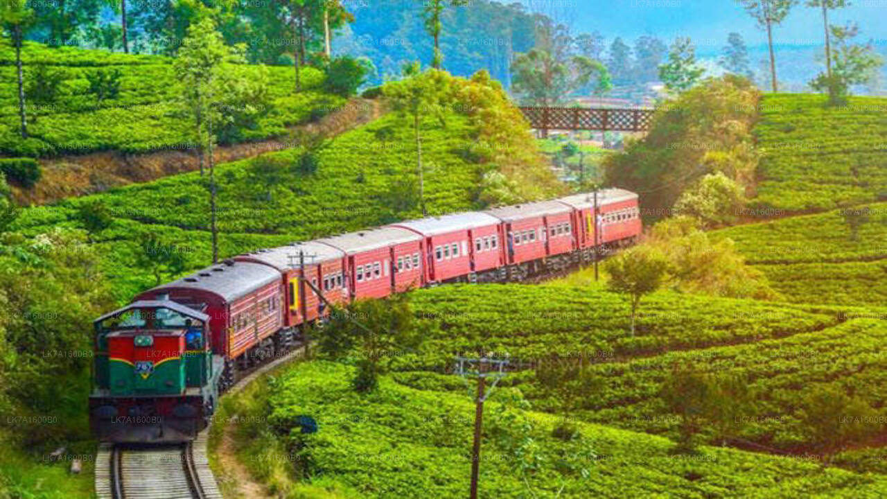 උඩරට මාර්ගයේ පිලී පැනීම නිසා දුම්රිය ගමන්වාර 07ක් අවලංගුයි උඩරට මාර්ගයේ පිලී පැනීම නිසා දුම්රිය ගමන්වාර 07ක් අවලංගුයි