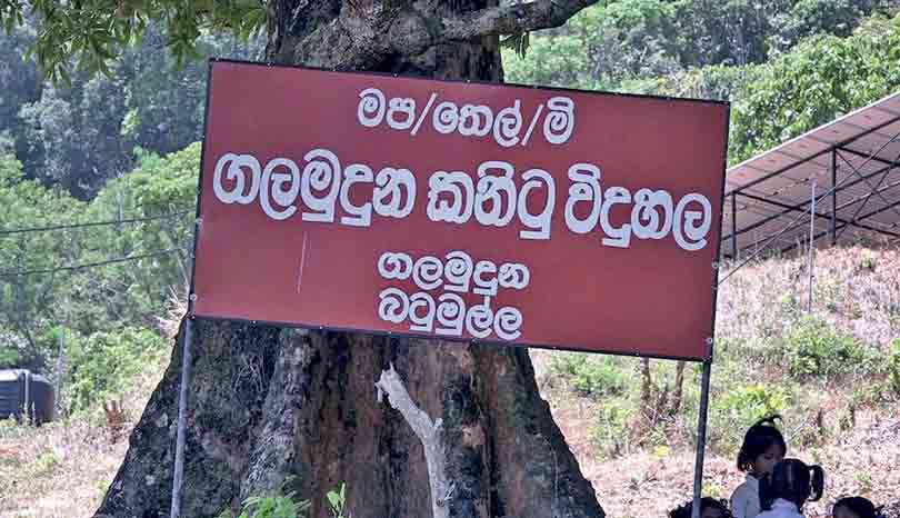 ගලමුදුන කනිෂ්ඨ විද්‍යාලයේ දරුවෝ ඇගයෙති