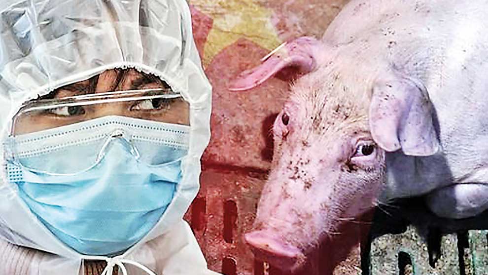 රටපුරා අප්‍රිකානු ඌරු උන අවදානමක්