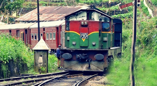 උඩරට මැණිකේට ජීවිතයක් බිලි