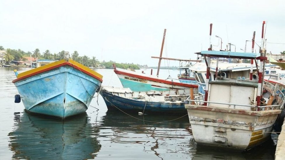 සීමාව පැන්න ඉන්දීය ධීවයින් 10කට මාංචු සීමාව පැන්න ඉන්දීය ධීවයින් 10කට මාංචු