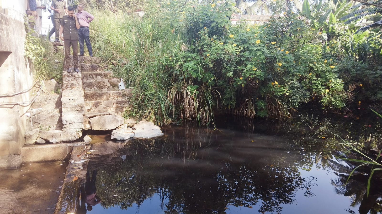 ජලය විෂය වීමකින් සිරිකදුර ඇළෙහි මාළු මිය ගිහින් ජලය විෂය වීමකින් සිරිකදුර ඇළෙහි මාළු මිය ගිහින්