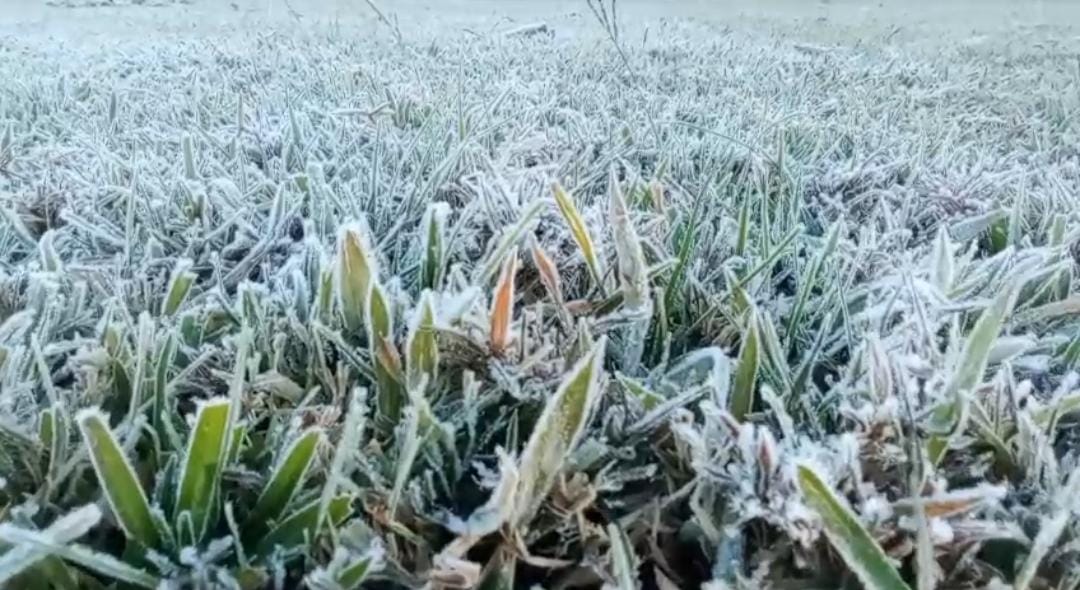 නුවරඑළිය අදත් සුදෙන් බැබලෙයි