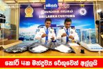 කෝටි 4ක මත්ද්රව්ය රේගුවෙන් අල්ලයි