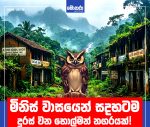 මිනිස් වාසයෙන් සදහටම දුරස් වන හොල්මන් නගරයක්!  දේදුගල ලංකා සිතියමෙන් මැකී යයිද?
