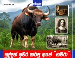 සුද්දන් ඉවර කරපු අපේ “ගවරා”