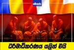 ධර්මාධිකරණය යලිත් එයි