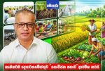 කෘෂිකර්ම දෙපාර්තමේන්තුව “ගොවිජන සභාව” ආරම්භ කරයි