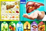 අක්මාව කොහොමද පරිස්සම් කරන්නේ?