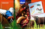 මාංශ භක්ෂක භයානක පරපෝෂිතයෙක්